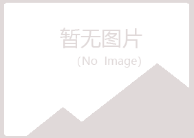 偃师寒安计算机有限公司